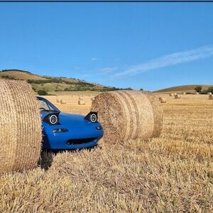 Meet your Posher, Jess